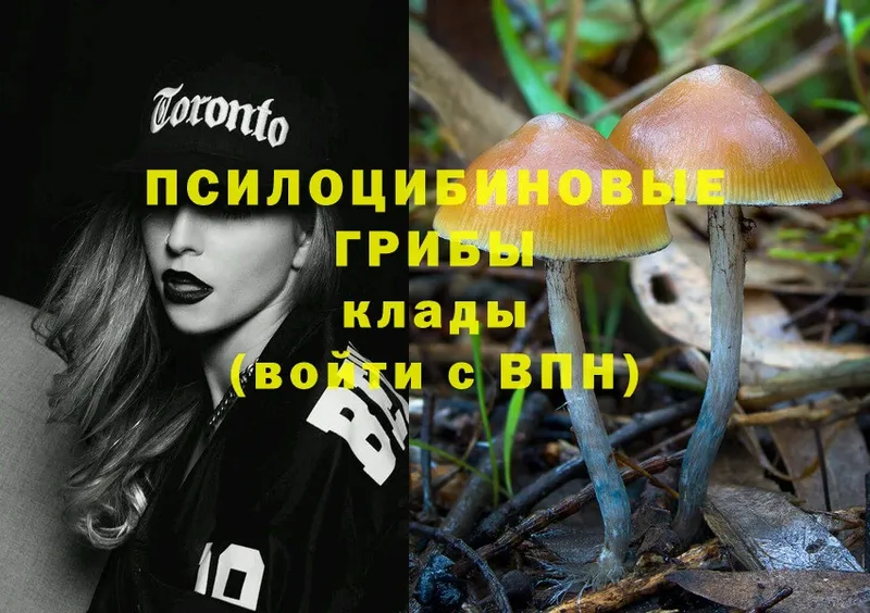 Галлюциногенные грибы Magic Shrooms  как найти закладки  Биробиджан 